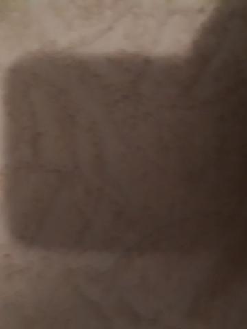 Камилла фото 2